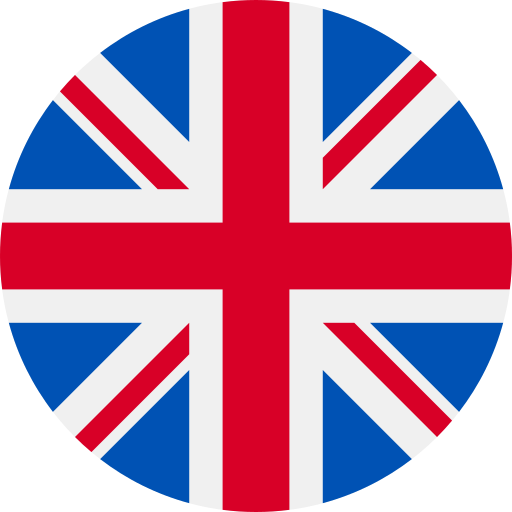 Selected Language Flag